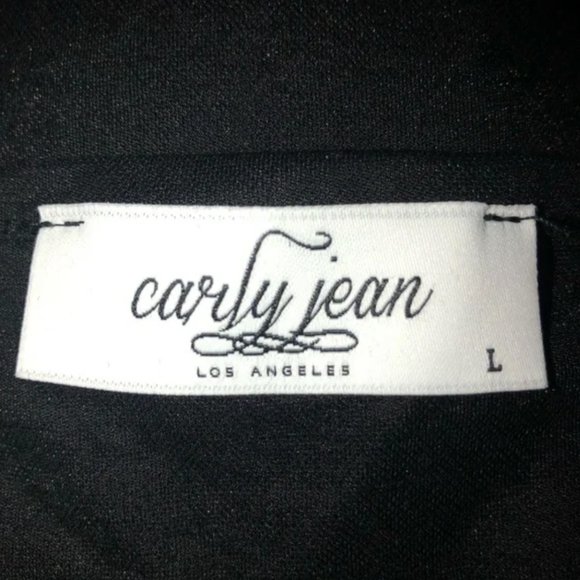 Carly Jean Los Angeles CJLA Blaine Babydoll Dress Black Tiered Dress Size Large - Picture 11 of 11